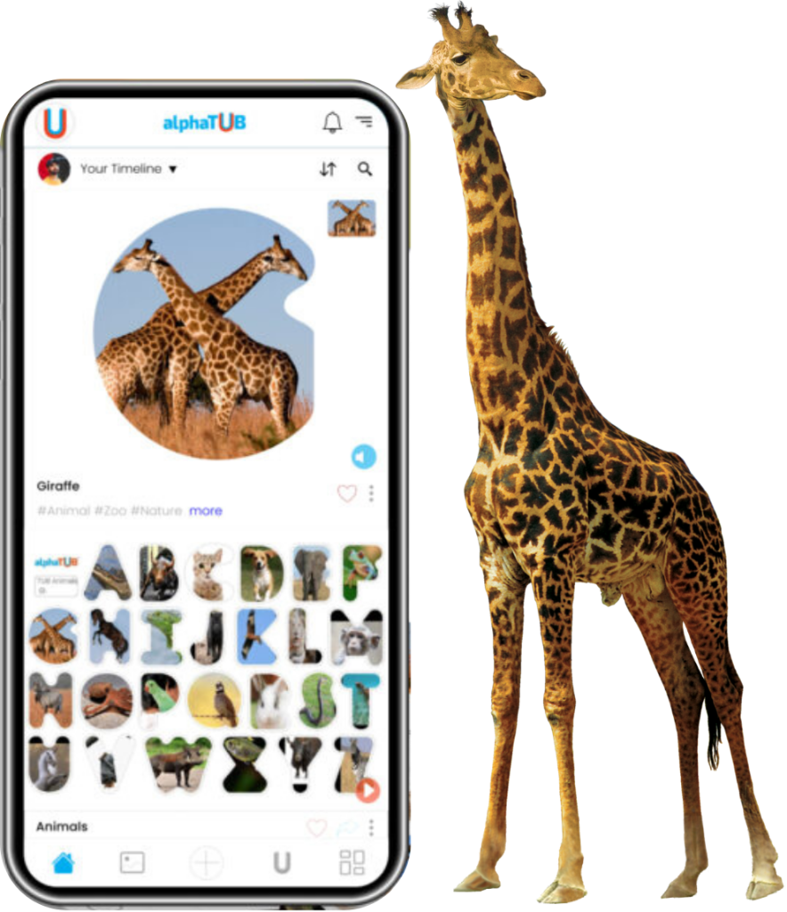 Transform Everyday Experiences into Learning Opportunities